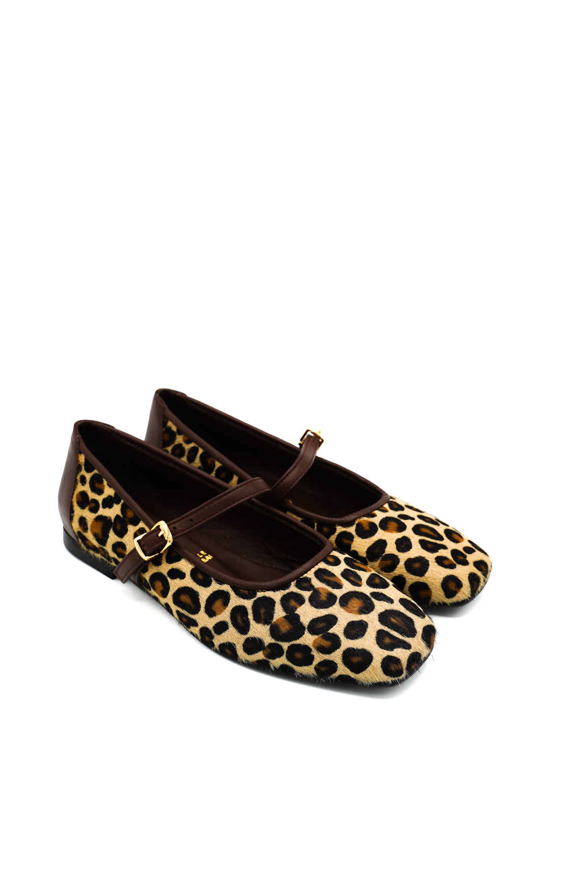 Shaddy Ballerine 115251931