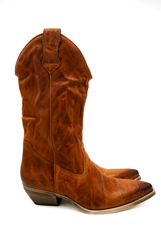 Texani Oyster TX501